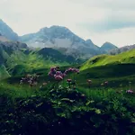 Erholsamer Traumurlaub Wo Auf Bergen Schloesser Wachsen * Prem