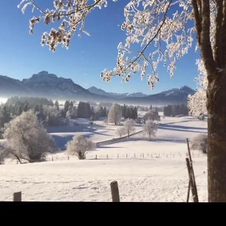 Erholsamer Traumurlaub Wo Auf Bergen Schloesser Wachsen Apartment