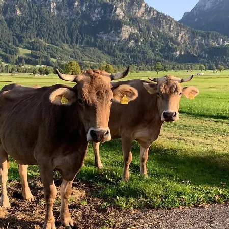 Erholsamer Traumurlaub Wo Auf Bergen Schloesser Wachsen 公寓 Prem